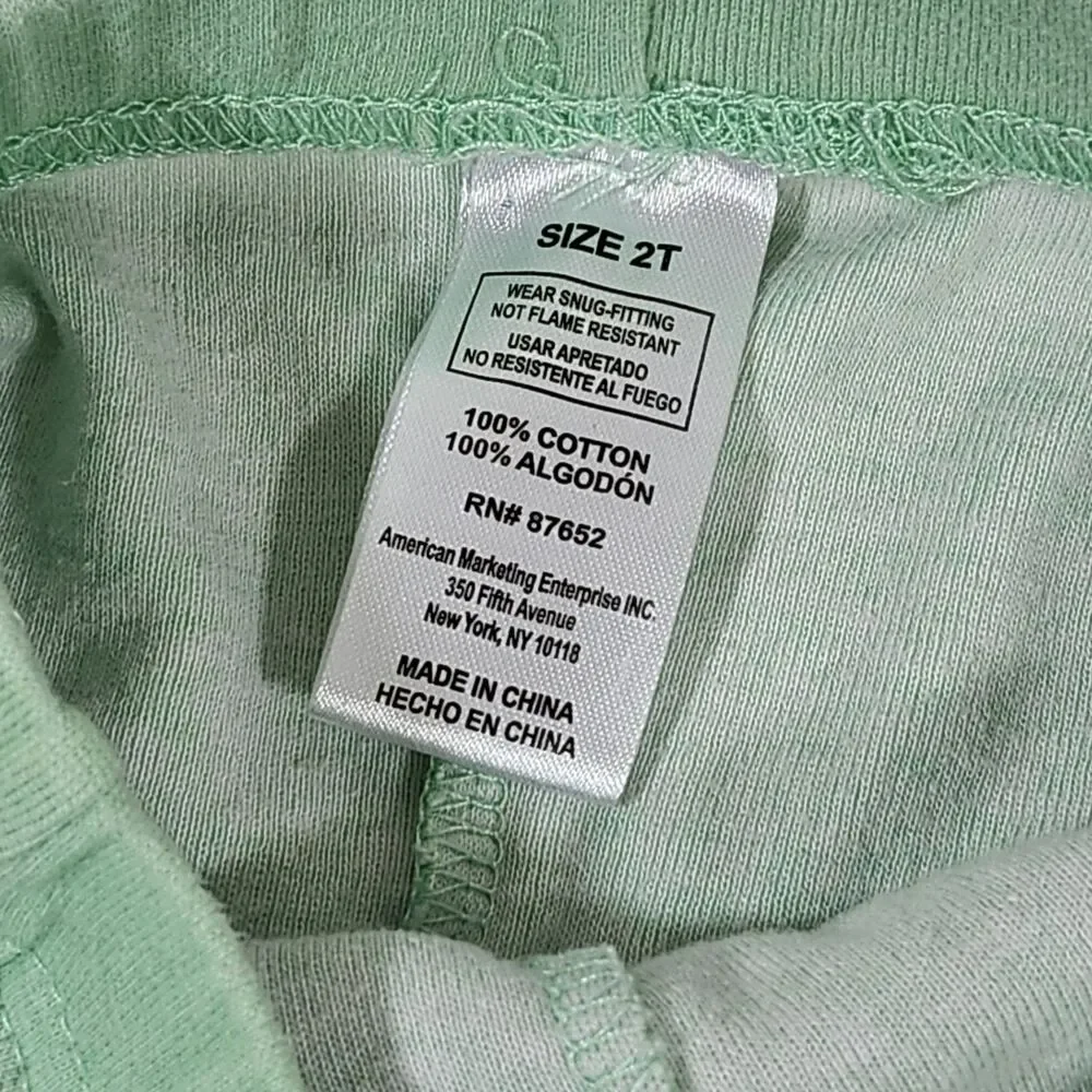 Teenage Mutant Ninja Turtles Pajama Set Size 2T Toddler Boys Leonardo 2-Piece